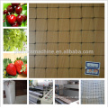 Plastic agriculture anti insect net machinery